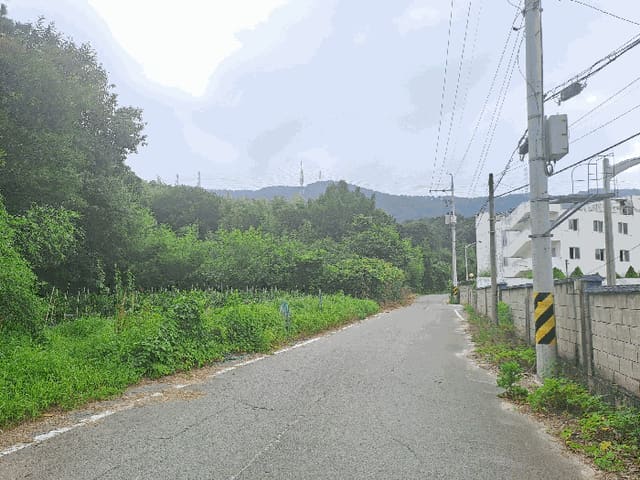 B0004202025013001175228.jpg