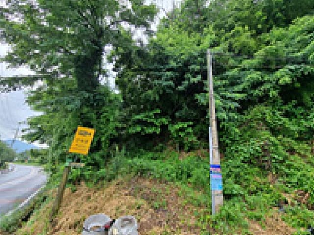 B000420202501300117904.jpg