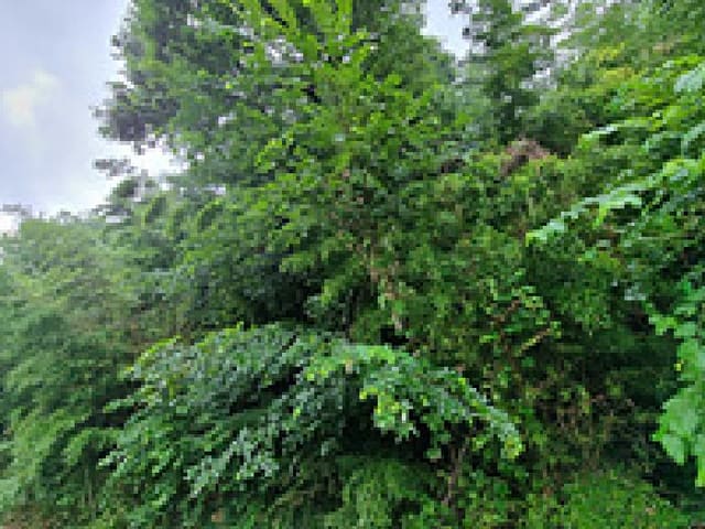 B000420202501300117902.jpg