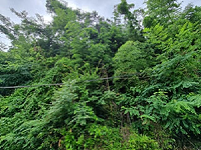 B000420202501300117903.jpg