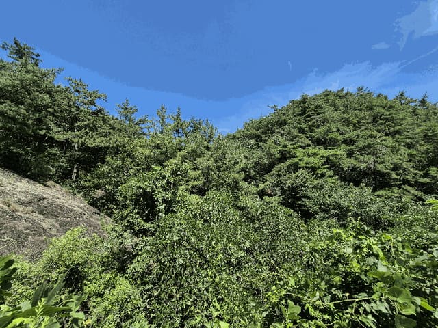 B000420202501300117973.jpg