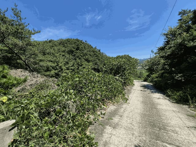 B000420202501300117974.jpg