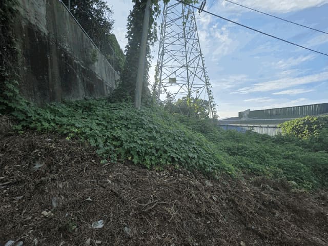 B000420202501300118056.jpg