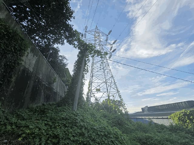 B000420202501300118054.jpg