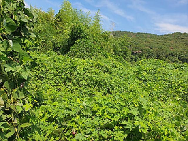 B000420202501300118402.jpg