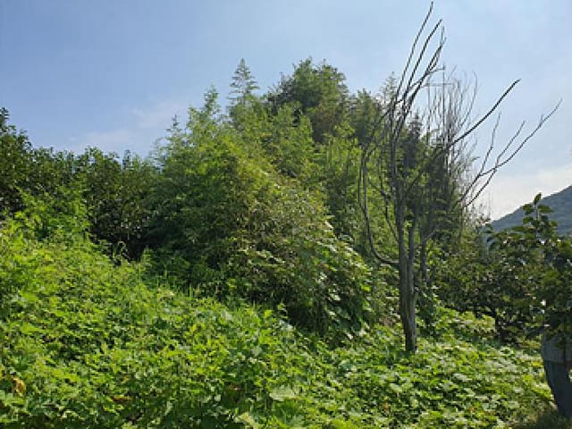 B000420202501300118401.jpg
