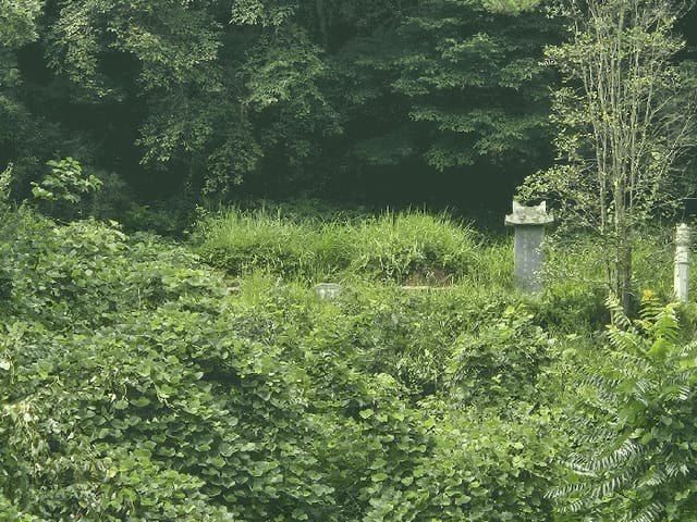 B000420202501300118413.jpg