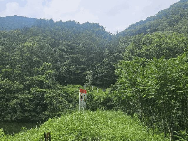 B000420202501300118412.jpg