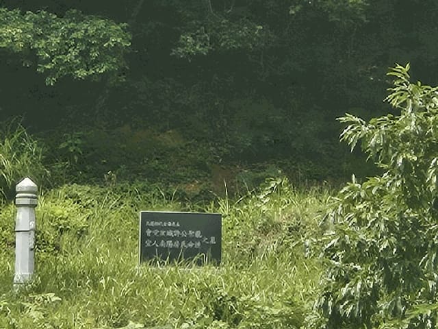 B000420202501300118414.jpg