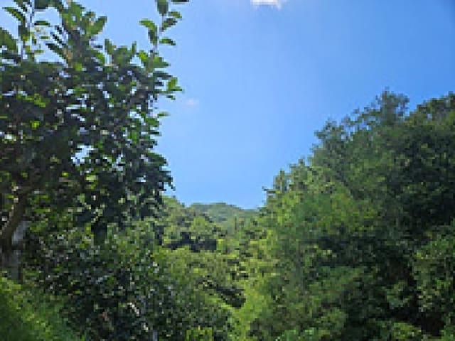 B000420202501300119311.jpg