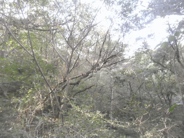B000420202501300119314.jpg