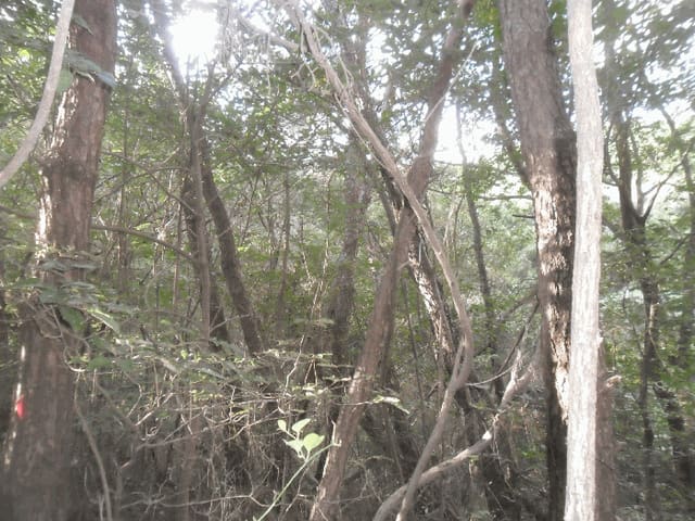 B000420202501300119313.jpg