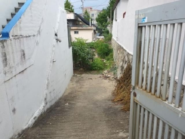 B000420202501300119511.jpg
