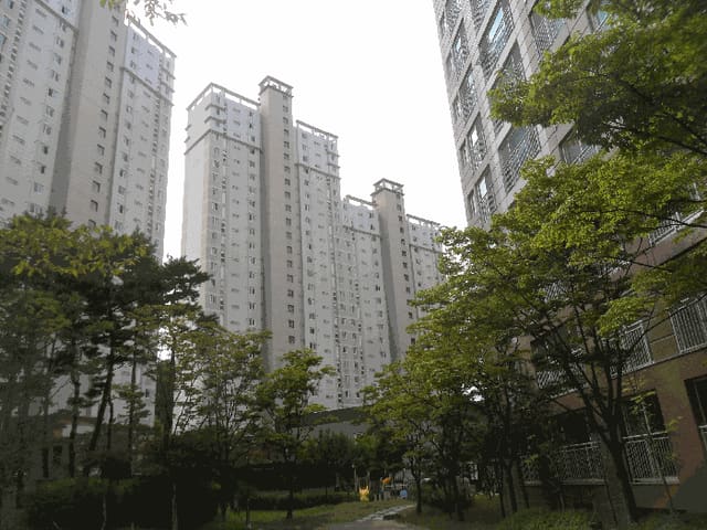 B000420202501300120134.jpg