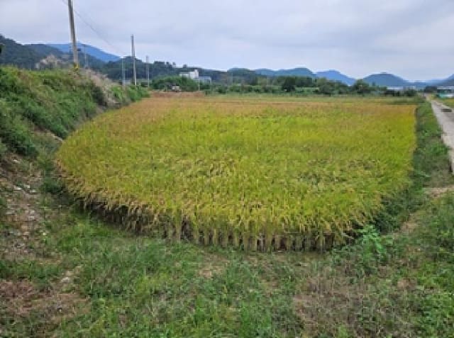 B000420202501300120512.jpg