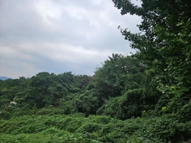 B000420202501300121162.jpg