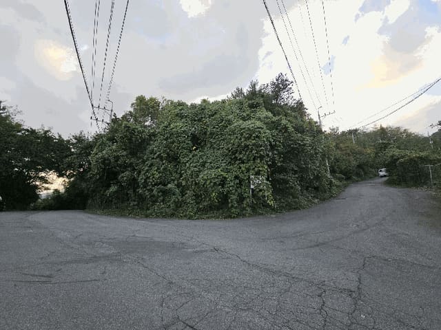 B000420202501300123054.jpg