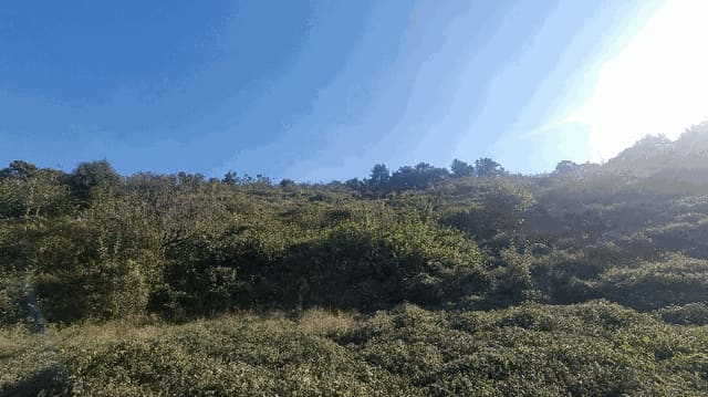 B000420202501300123142.jpg