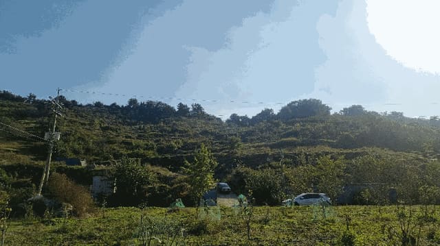 B000420202501300123141.jpg
