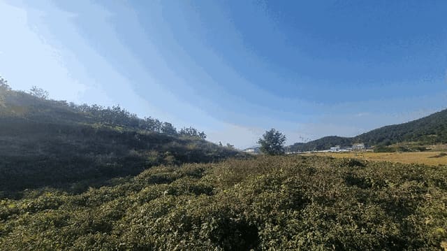 B000420202501300123144.jpg