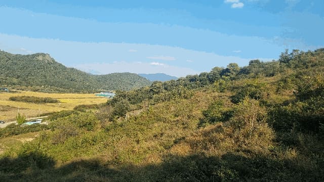 B000420202501300123143.jpg