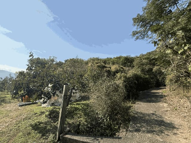 B0004202025013001231713.jpg
