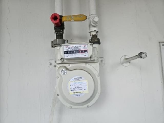 B000420202501300124862.jpg
