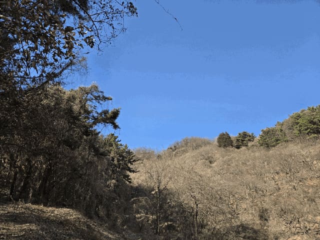 B000420202601300101767.jpg