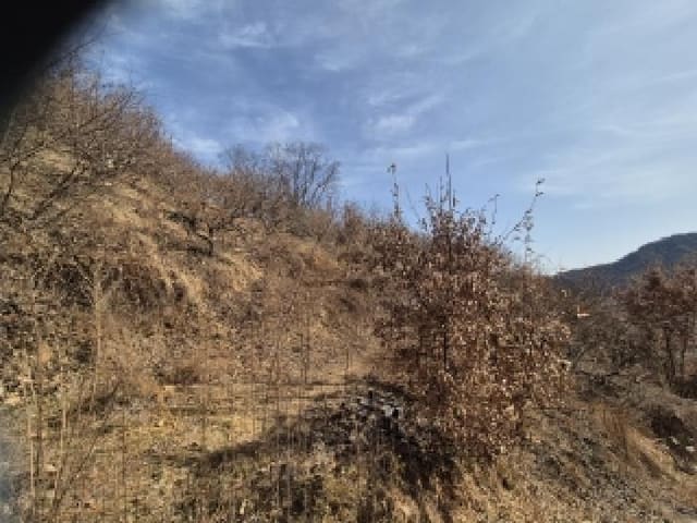 B000420202601300101762.jpg