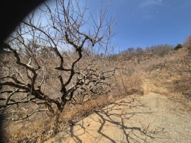 B000420202601300101761.jpg