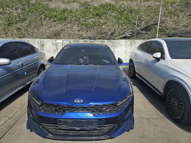 B000420202601300103682.jpg
