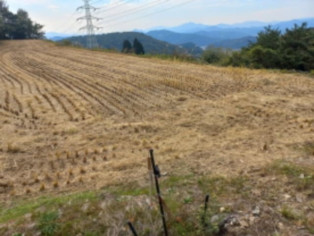 B000421202301300053413.jpg