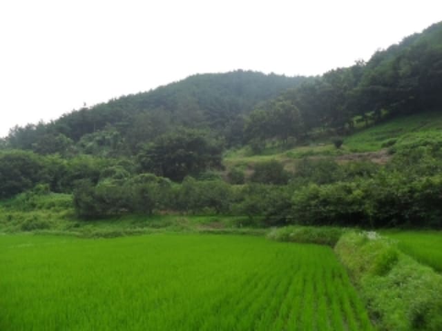 B0004212023013003410335.jpg