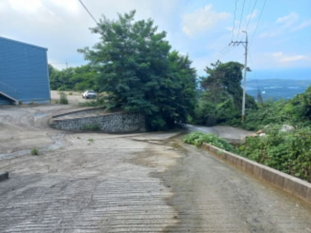 B000421202301300346772.jpg