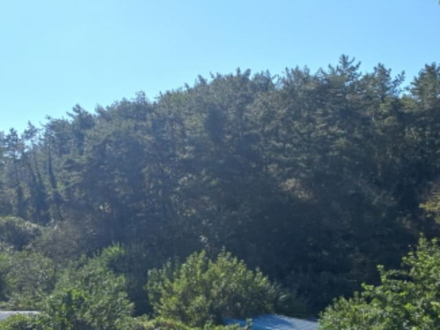 B000421202301300368951.jpg