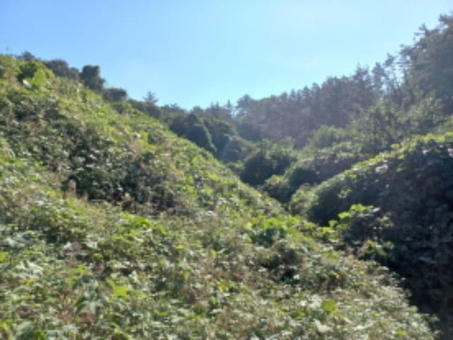 B000421202301300368954.jpg