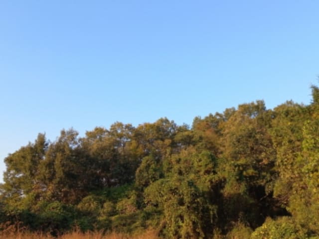 B000421202301300370031.jpg