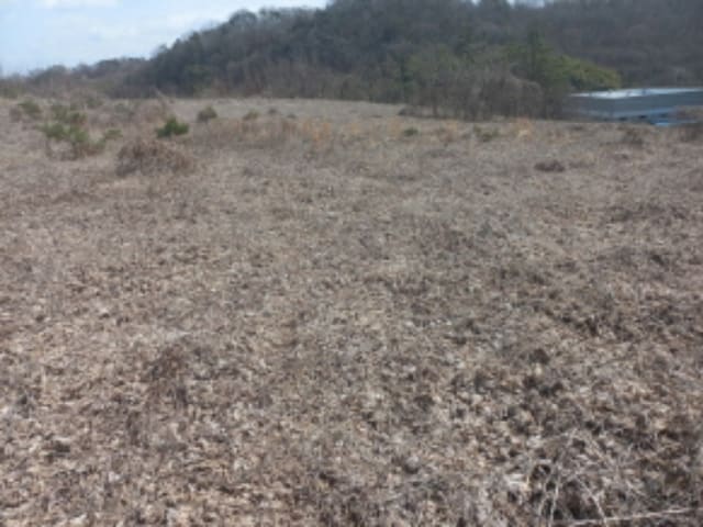 B000421202401300015444.jpg
