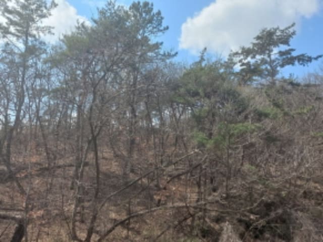 B000421202401300015442.jpg