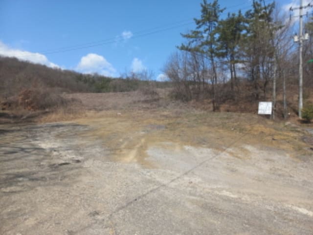 B000421202401300015441.jpg