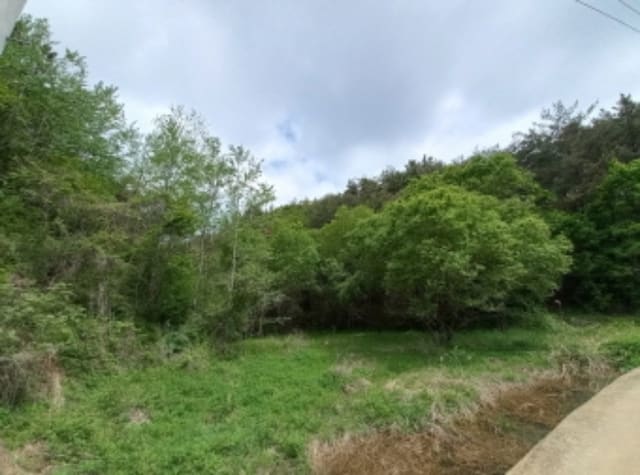 B000421202401300022711.jpg