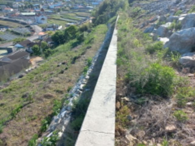 B000421202401300022884.jpg