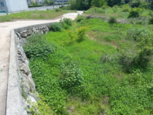 B000421202401300027381.jpg