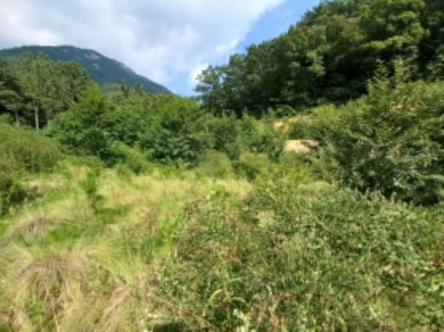 B000421202401300041231.jpg