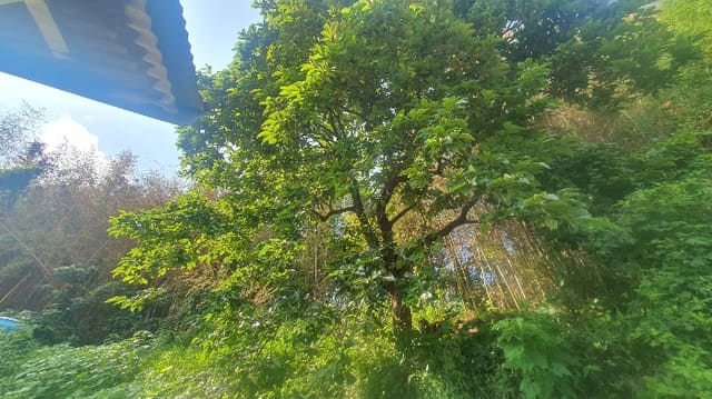 B000421202401300042774.jpg