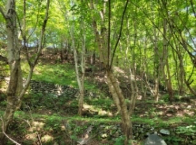 B000421202401300044372.jpg