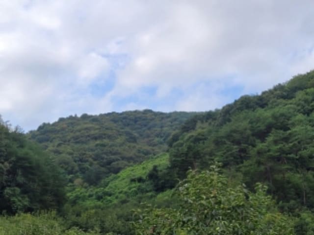 B000421202401300047343.jpg