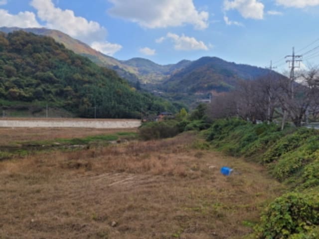 B000421202401300058741.jpg
