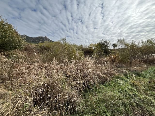 B000421202401300059114.jpg