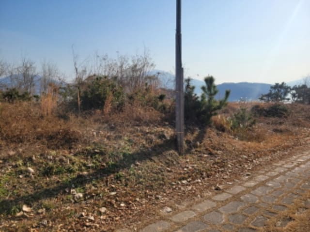 B000421202401300065871.jpg